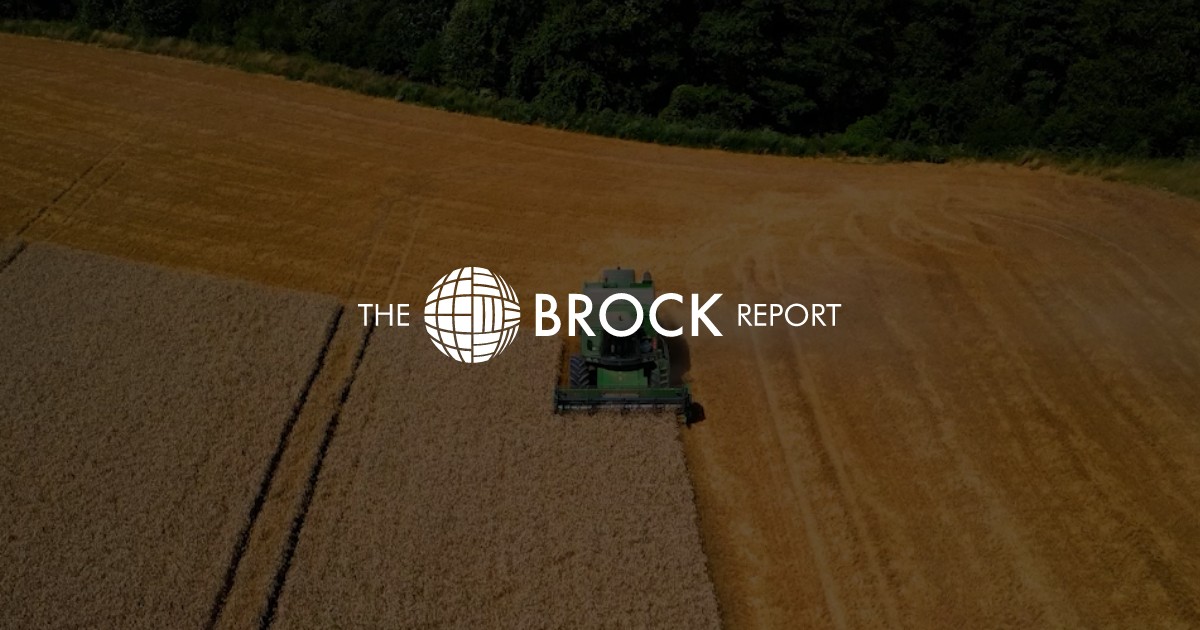 Brock Report Archives Page 38 of 60 The Brock Report